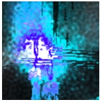 userPhoto