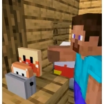 MCSteve