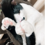 userPhoto
