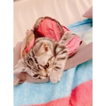 ユーザー画像