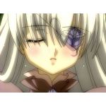 csmmP(薔薇シー＠理兎)