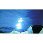userPhoto