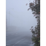 userPhoto