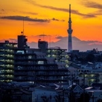 userPhoto