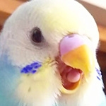 むつき醒