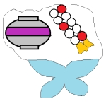 香良洲身