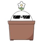 userPhoto