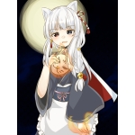 【玉藻の銀狐】