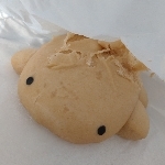 userPhoto