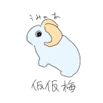 仮仮梅