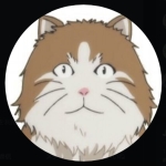 のけにち