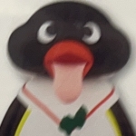 userPhoto