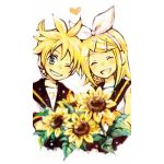 むぎ