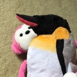 キャメロン。