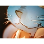 ユーザー画像