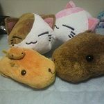 たっけー