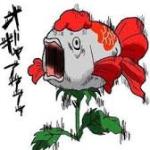 コテ様