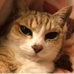 userPhoto