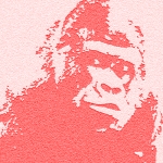 D.GORILLA