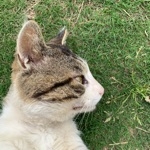 userPhoto