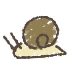 すねすき