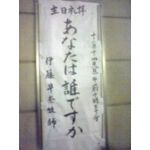 ぴんたぬ