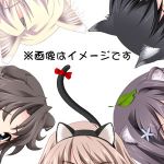 たぬきち