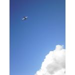 てこ