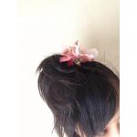 さくらん