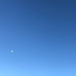 userPhoto