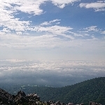 userPhoto