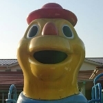 userPhoto