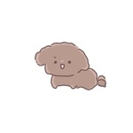 userPhoto