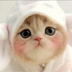 userPhoto
