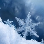 雪字