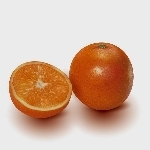userPhoto