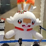 userPhoto