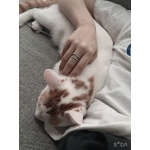 userPhoto