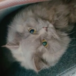 赤岩