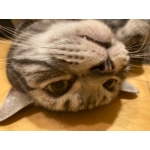 ユーザー画像