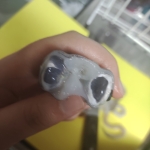トカゲ