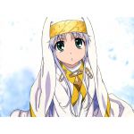 たいがちゃん