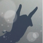 鳴海