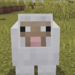 userPhoto