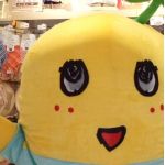 なし