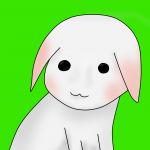 ダンボール暮らし