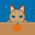 だんぼーる