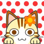 userPhoto
