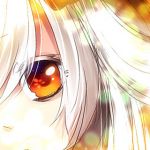 にぃこ