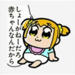 エッセル熊本